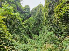 -吴山景区