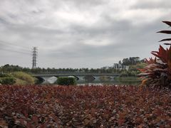 -中国移动南方基地