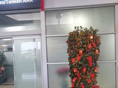 -厦门高崎国际机场-T3航站楼