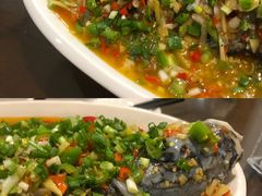 飞虹鱼-飞虹鱼馆(春华路店)