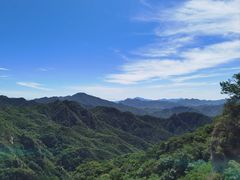 -大岭沟猕猴桃谷风景区