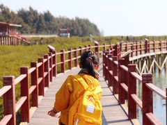 -北海金海湾红树林生态旅游区