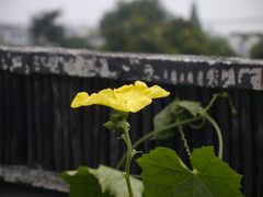 -金谷里艺术馆