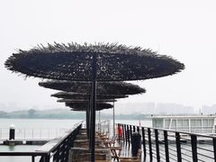 -北龙湖湿地公园