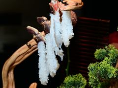 -蟹犇前•帝王蟹雪蟹(陆家嘴店)