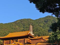 -深圳仙湖植物园