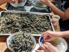 -朱洪元苏式面馆(绿宝广场店)