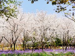 -白塘生态植物园
