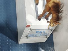 -吉林省自然博物馆