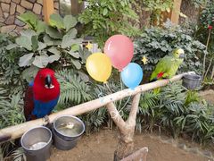 -南宫五洲植物乐园