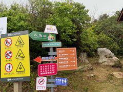 -杨梅坑