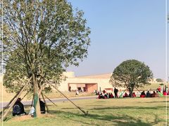 -盘龙城国家考古遗址公园