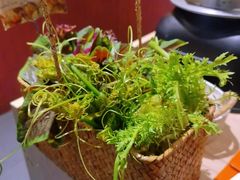 -芸山季·云南野生菌火锅(宝能环球汇店)