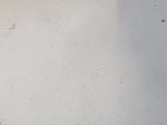 -江城燕子大排档(江汉路步行街店)