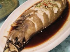 碟鱼-正阳春烤鸭(华捷道店)
