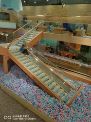 -泡泡米POPOME益智乐园(洪殿花园旗舰店)