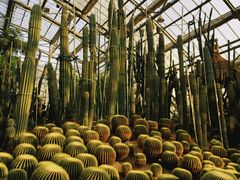 -南山植物园