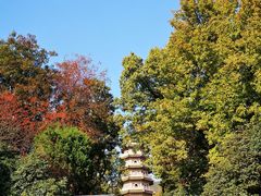 -灵谷景区