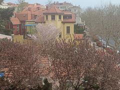 -青岛市口腔医院(总院)