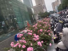 -深圳华盛奥特莱斯(华南一道店)