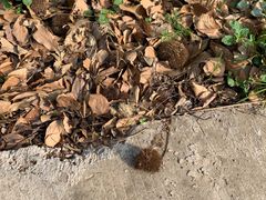 -南京市无想山景区