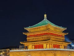 -福苗小骆驼烧烤(大唐不夜城店)