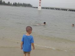 -东郊椰林