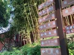 -乌山风景区