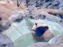 -乐和乐都主题乐园