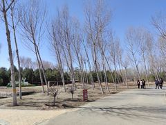 -东郊湿地公园