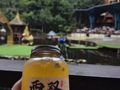 -西双版纳原始森林公园