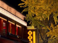 -奇芳阁·百年清真南京菜(夫子庙店)