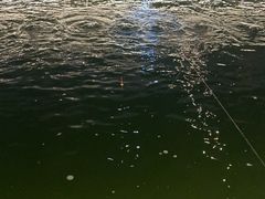 -DGE季风钓虾营地·团建·聚会