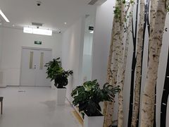 -极简口腔(总院)