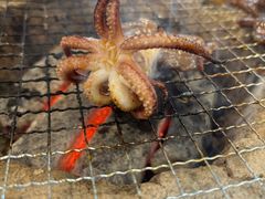 -韩风烤牛肉冷面店