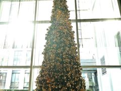 -北京康莱德酒店