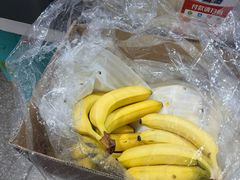 -果果木·手工酸奶·水果捞(小东路店)