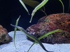 -上海海洋水族馆