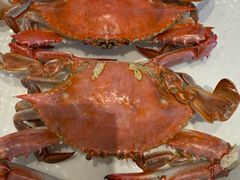 -连鹭海鲜·海肠捞饭·海胆饭(星海店)