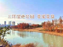 -三垟湿地