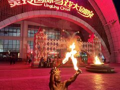 -灵玲国际马戏城