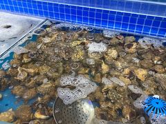 水产区-乔哥铭洋海鲜自助(皇城恒隆广场店)