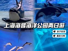 -上海海昌海洋公园