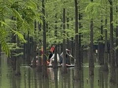 -泗洪洪泽湖湿地景区