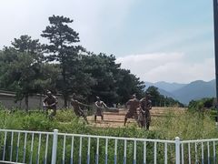 -秦始皇帝陵博物院-丽山园