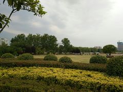 -沙澧河风景区