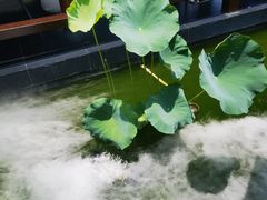 -濮园 · 四合院餐厅