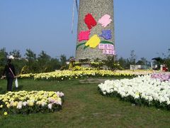 东篱菊园-三圣花乡旅游区