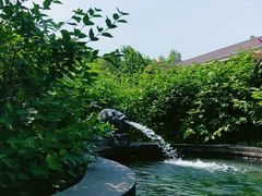 -大顶子山温泉旅游区