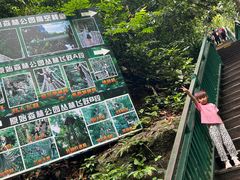 -西双版纳原始森林公园